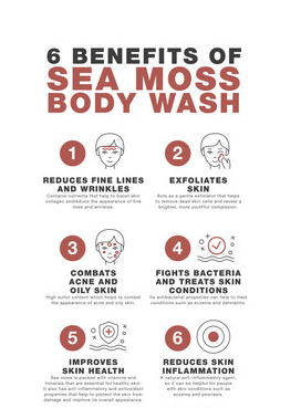 Sea Moss Body Wash