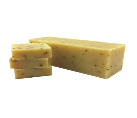 XO Aloe & Eucalyptus